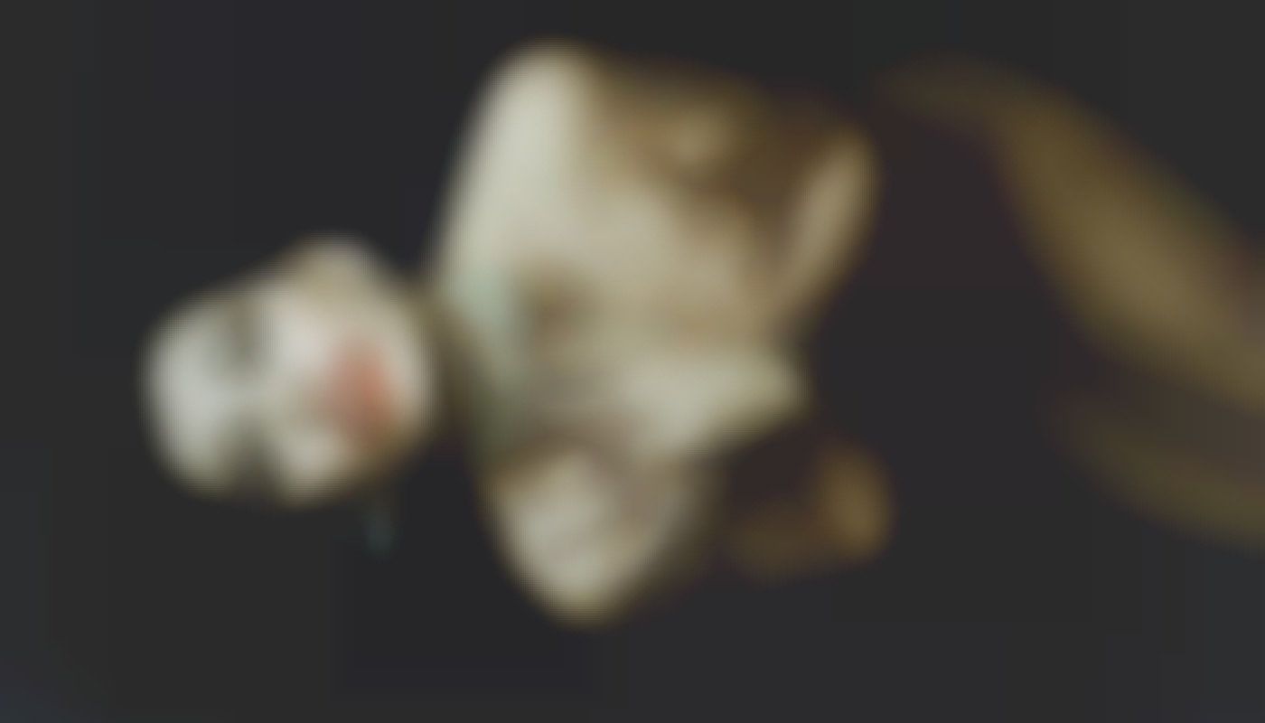 Exploration de la dynamique des interactions en direct avec des modèles en ligne